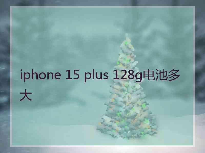 iphone 15 plus 128g电池多大