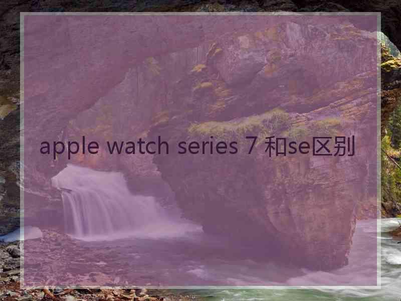 apple watch series 7 和se区别