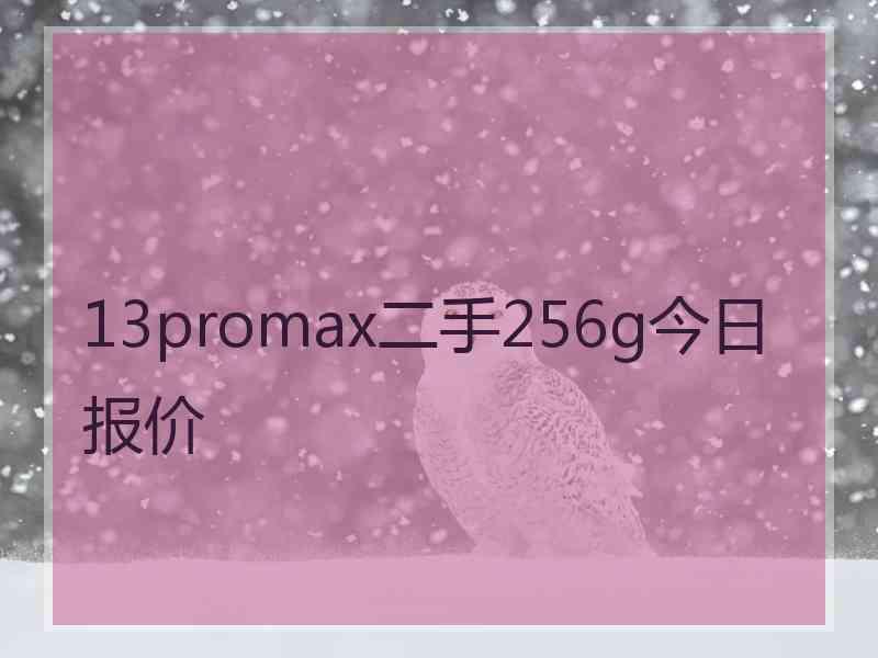 13promax二手256g今日报价