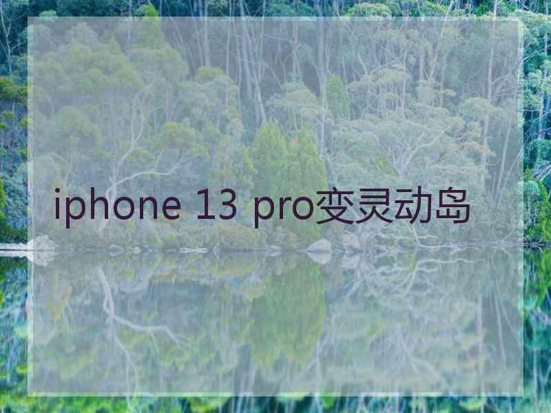 iphone 13 pro变灵动岛