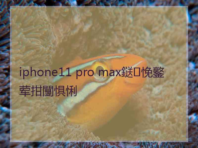 iphone11 pro max鎹㈠悗鐜荤拑闅惧悧