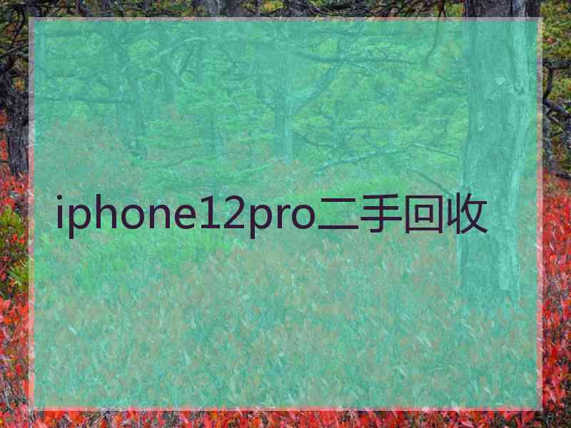 iphone12pro二手回收