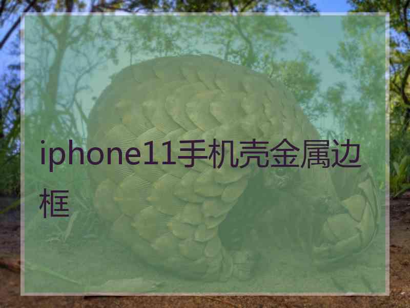 iphone11手机壳金属边框