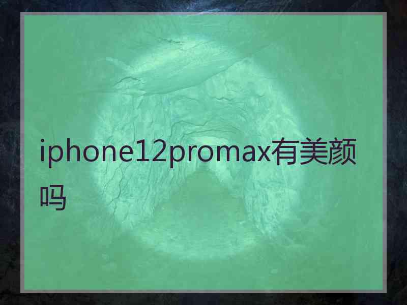 iphone12promax有美颜吗