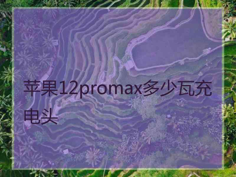 苹果12promax多少瓦充电头