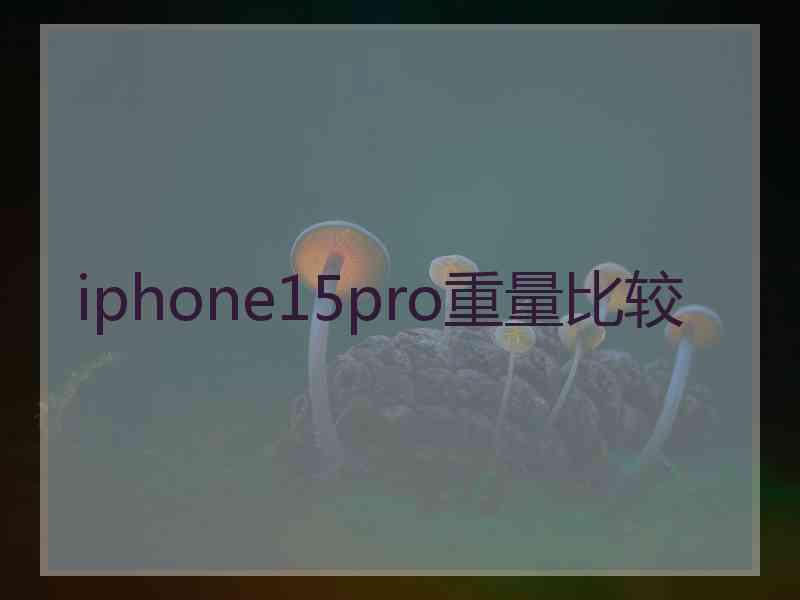 iphone15pro重量比较