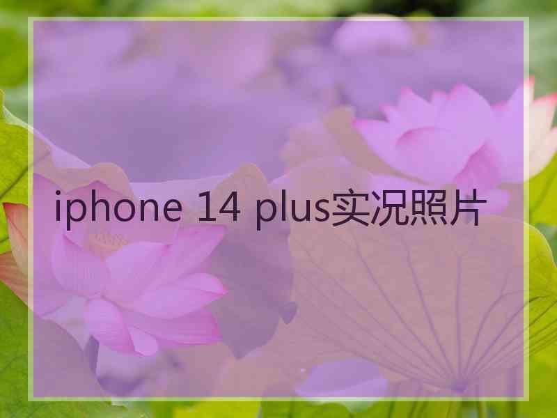 iphone 14 plus实况照片