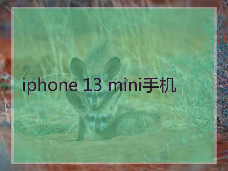 iphone 13 mini手机