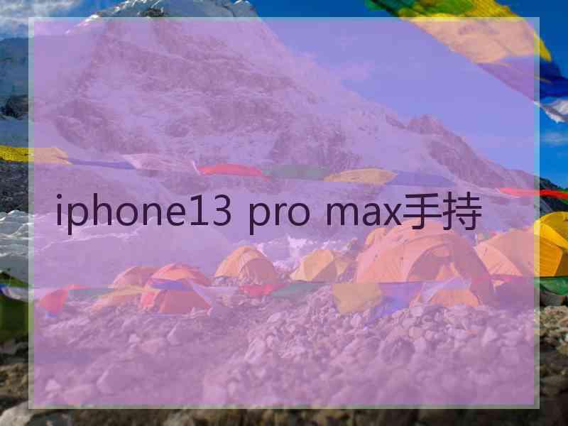 iphone13 pro max手持