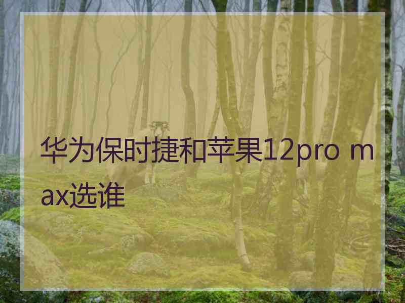 华为保时捷和苹果12pro max选谁