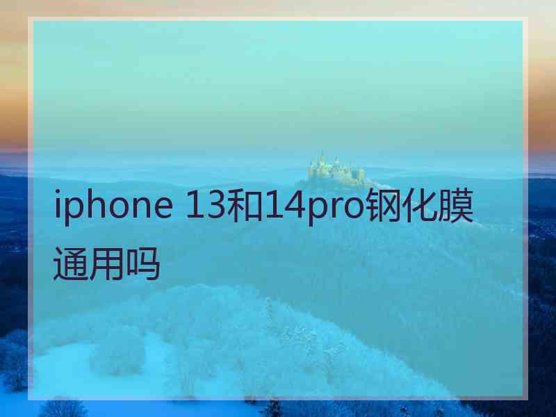 iphone 13和14pro钢化膜通用吗