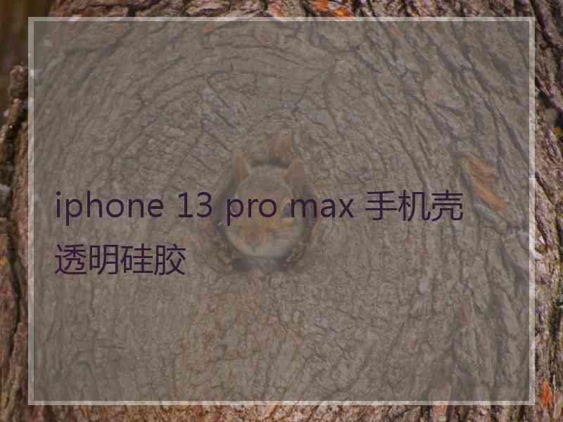 iphone 13 pro max 手机壳透明硅胶