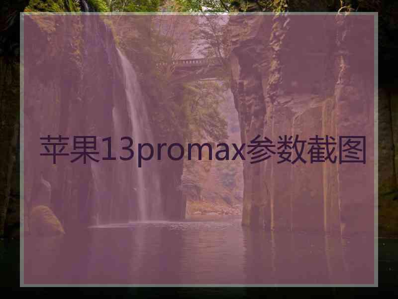 苹果13promax参数截图