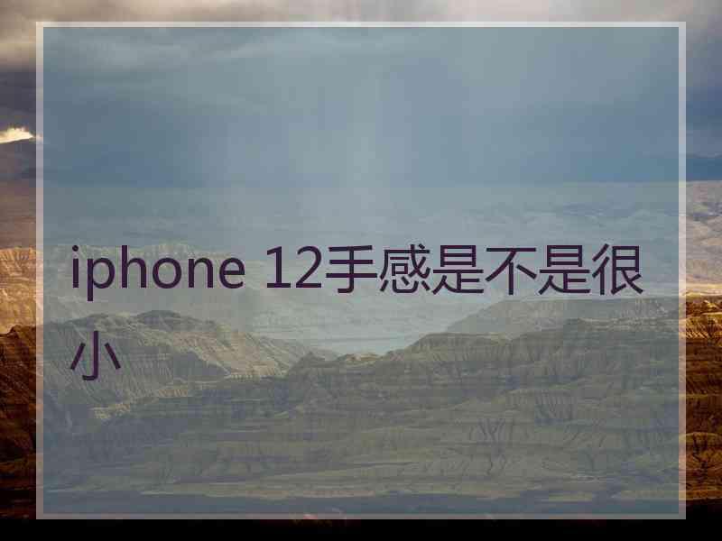 iphone 12手感是不是很小