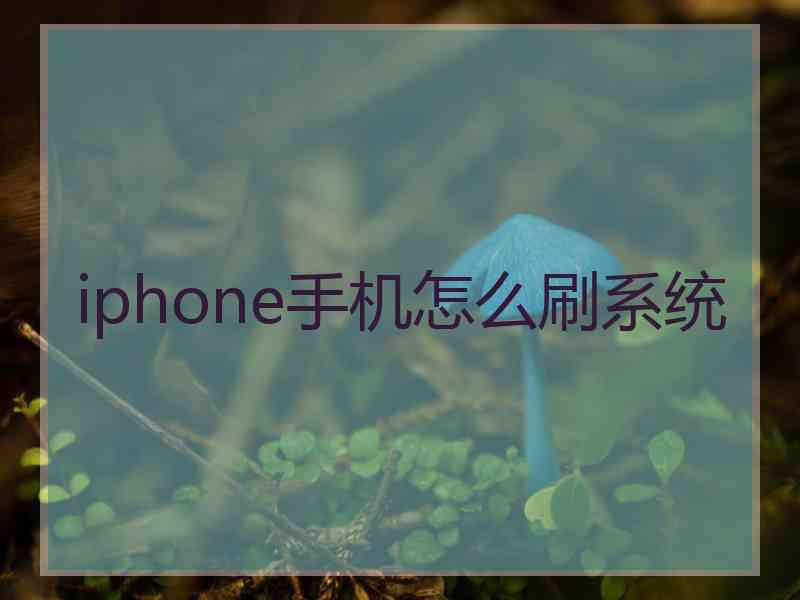 iphone手机怎么刷系统