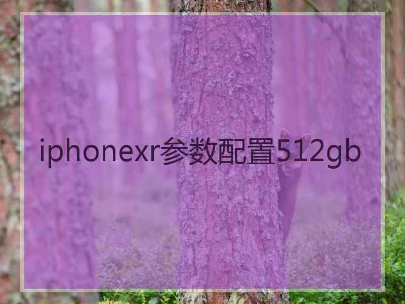 iphonexr参数配置512gb