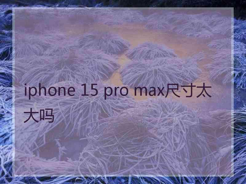 iphone 15 pro max尺寸太大吗