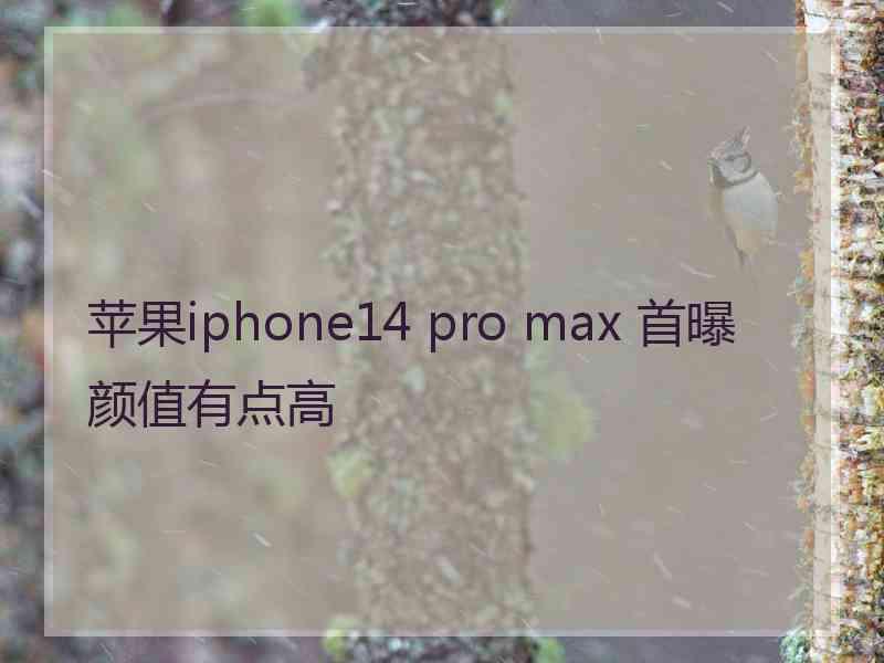 苹果iphone14 pro max 首曝颜值有点高