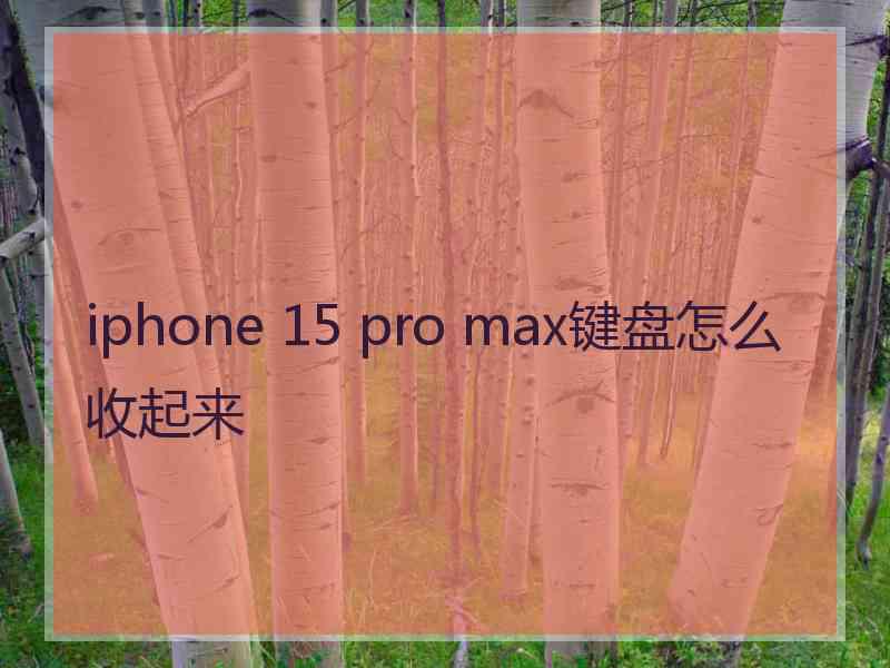 iphone 15 pro max键盘怎么收起来