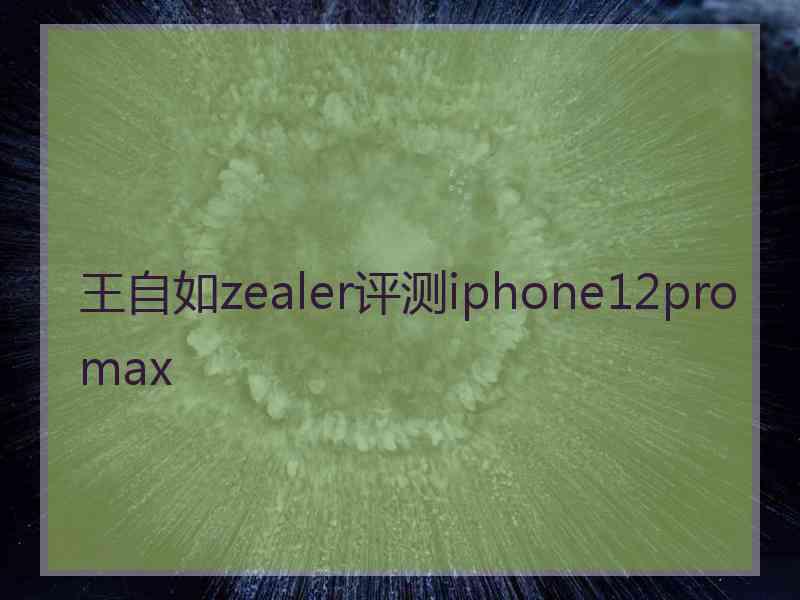 王自如zealer评测iphone12promax