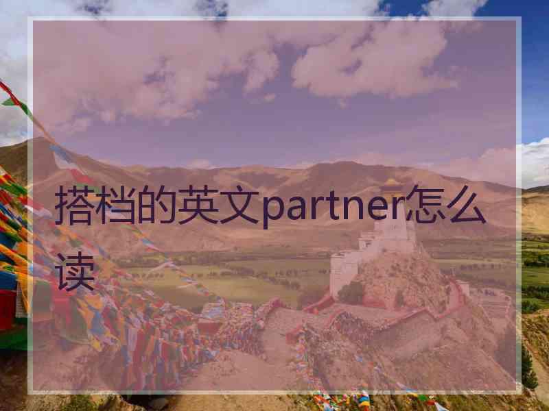 搭档的英文partner怎么读