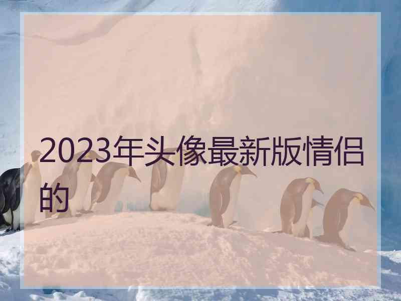 2023年头像最新版情侣的