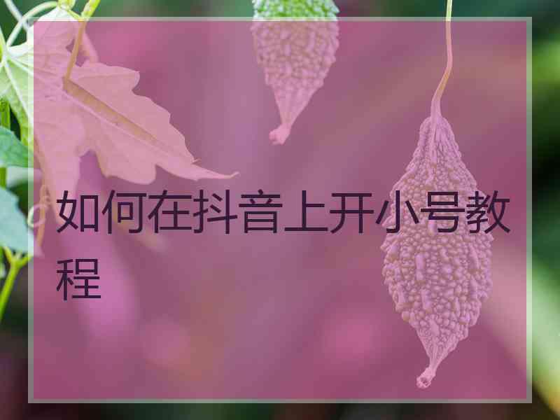 如何在抖音上开小号教程