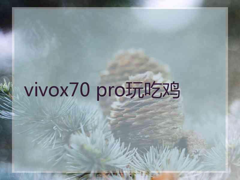 vivox70 pro玩吃鸡