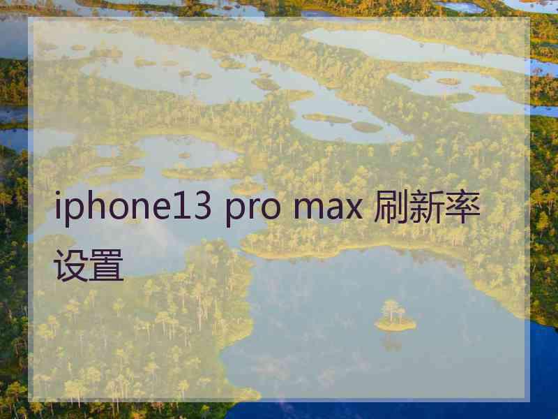 iphone13 pro max 刷新率设置