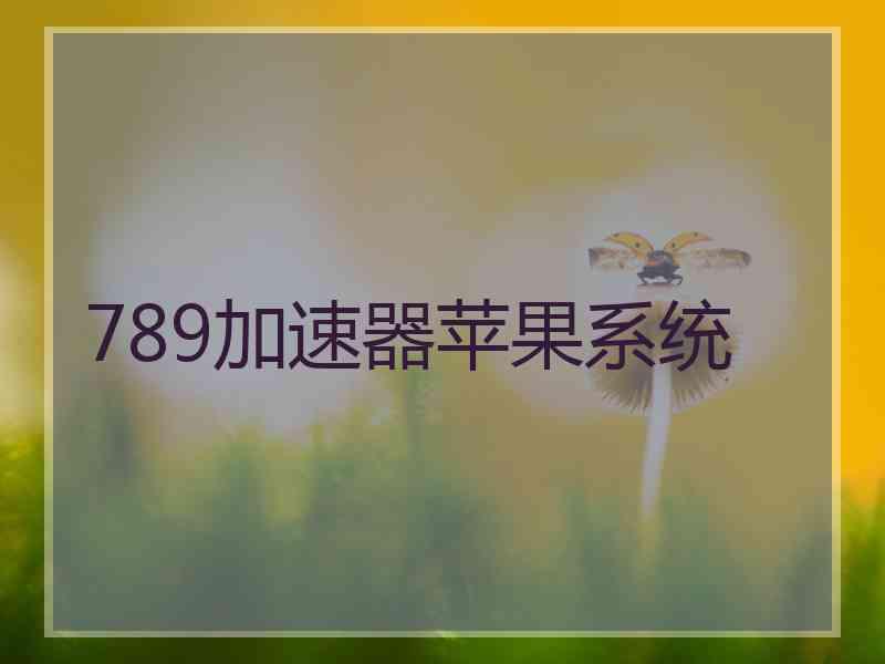 789加速器苹果系统