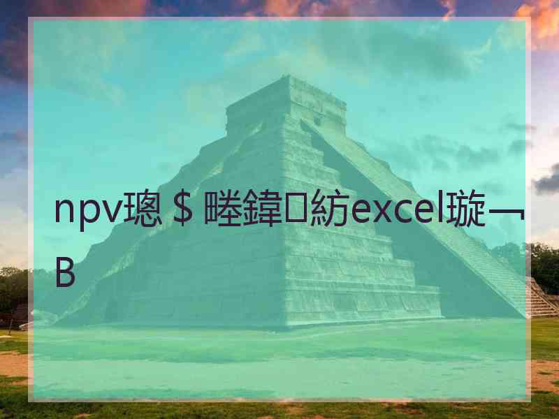 npv璁＄畻鍏紡excel璇﹁В