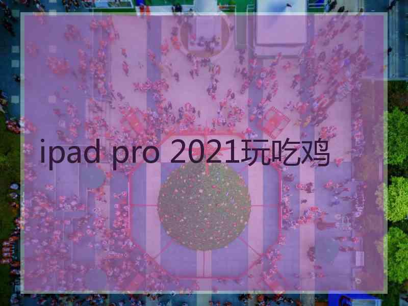 ipad pro 2021玩吃鸡