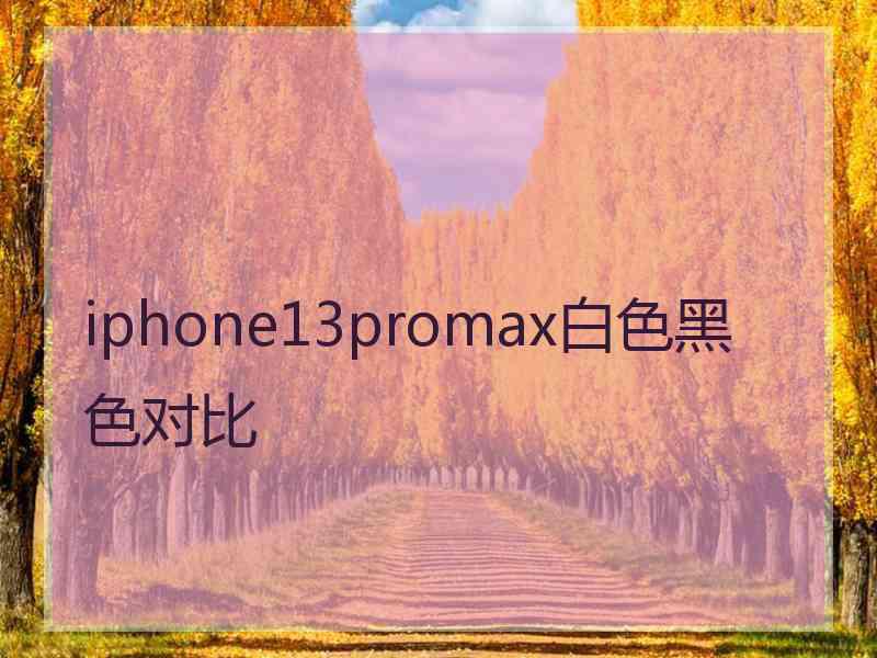 iphone13promax白色黑色对比