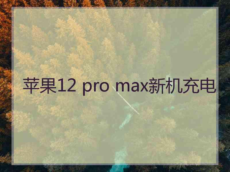 苹果12 pro max新机充电