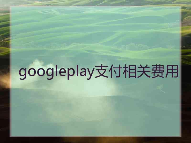 googleplay支付相关费用