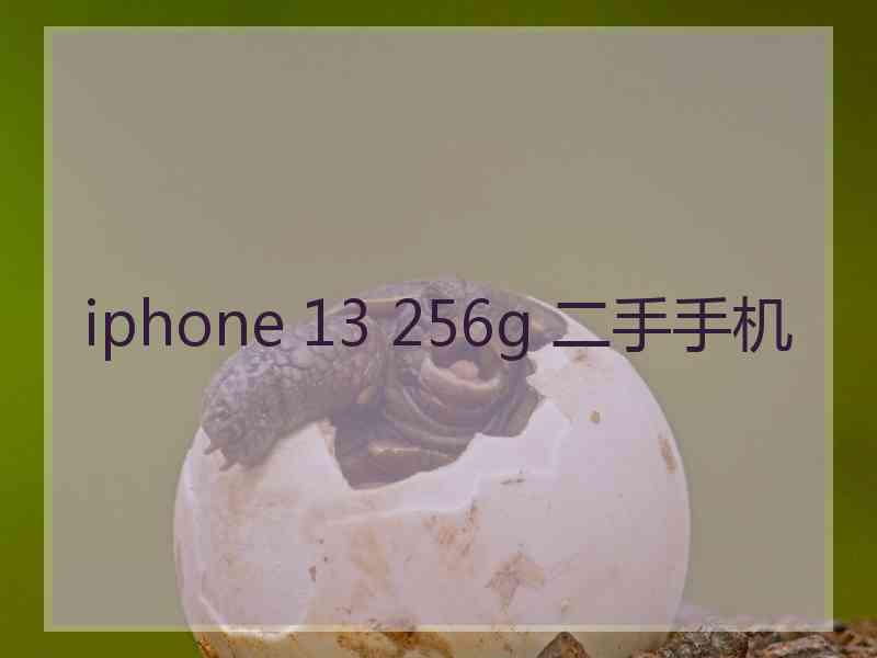 iphone 13 256g 二手手机