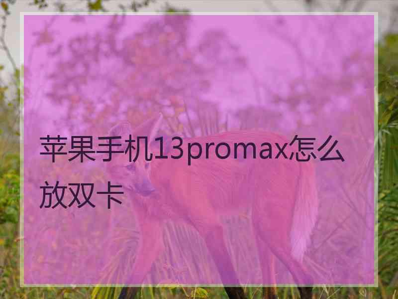 苹果手机13promax怎么放双卡