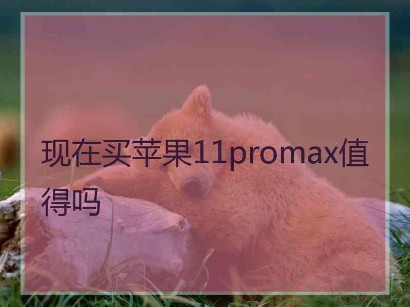 现在买苹果11promax值得吗