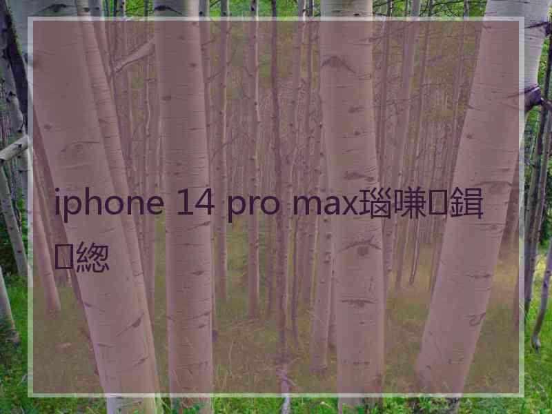 iphone 14 pro max瑙嗛鍓緫