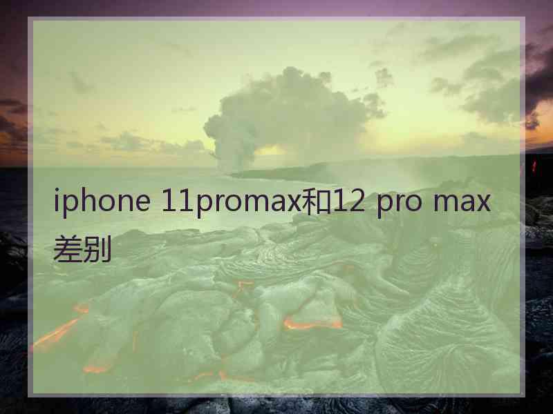 iphone 11promax和12 pro max差别