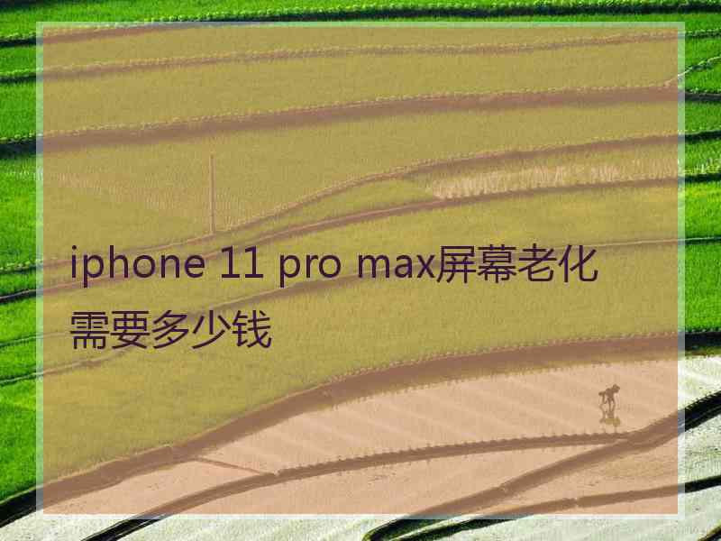 iphone 11 pro max屏幕老化需要多少钱