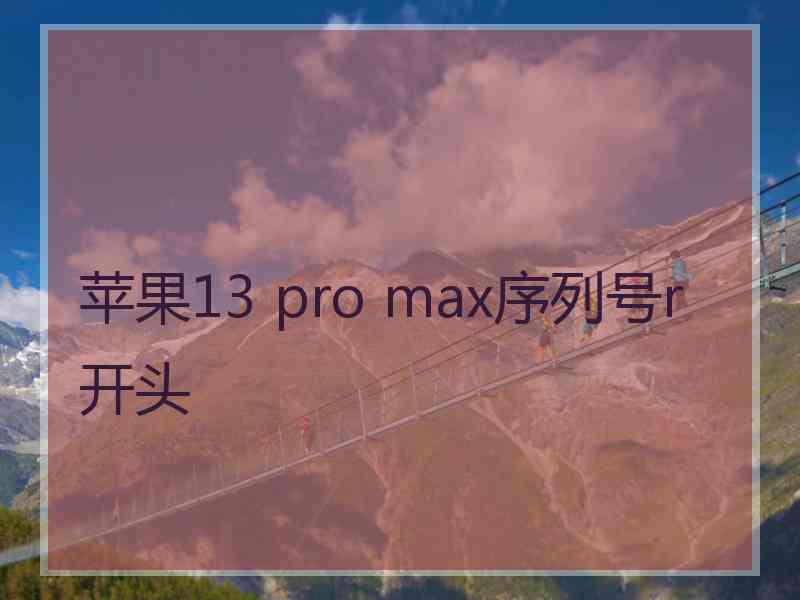 苹果13 pro max序列号r开头