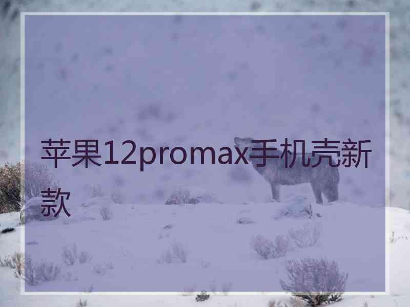 苹果12promax手机壳新款