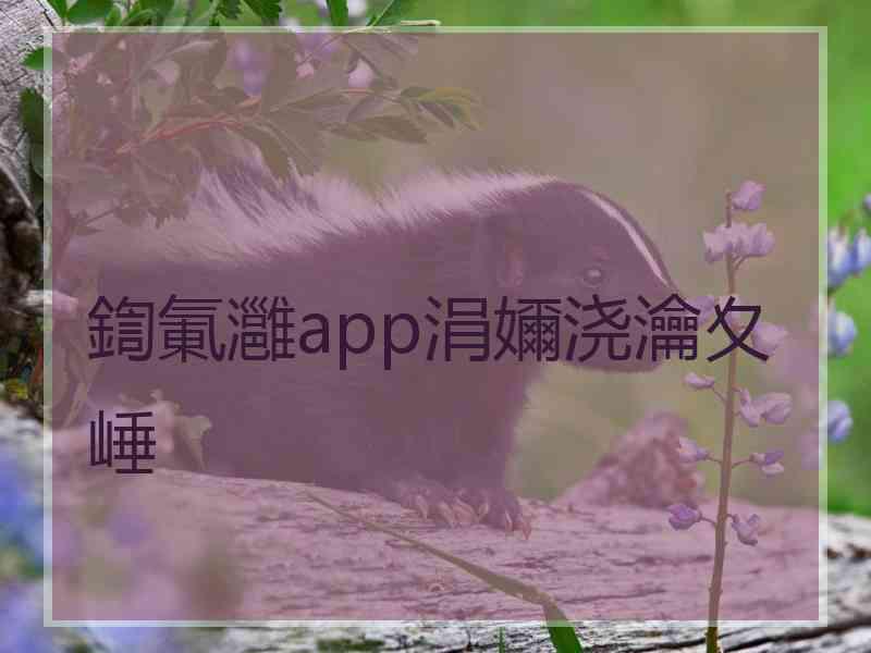 鍧氭灉app涓嬭浇瀹夊崜