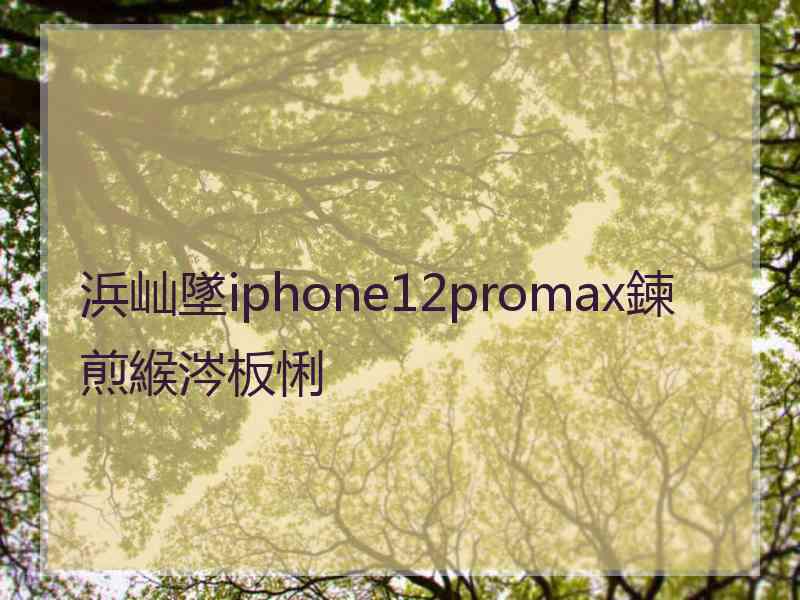 浜屾墜iphone12promax鍊煎緱涔板悧