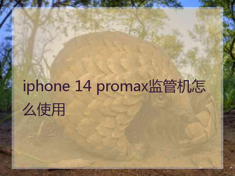 iphone 14 promax监管机怎么使用