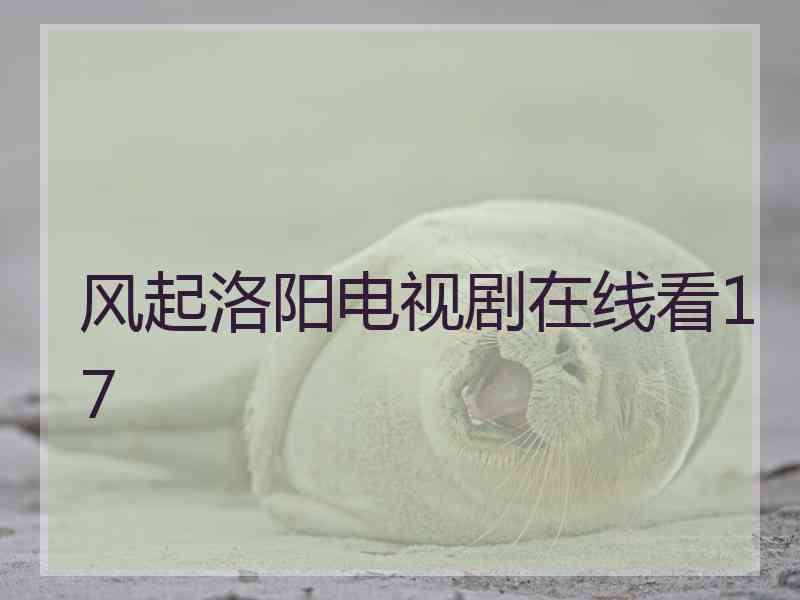 风起洛阳电视剧在线看17