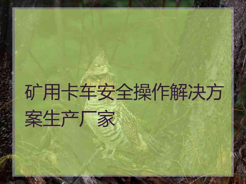 矿用卡车安全操作解决方案生产厂家