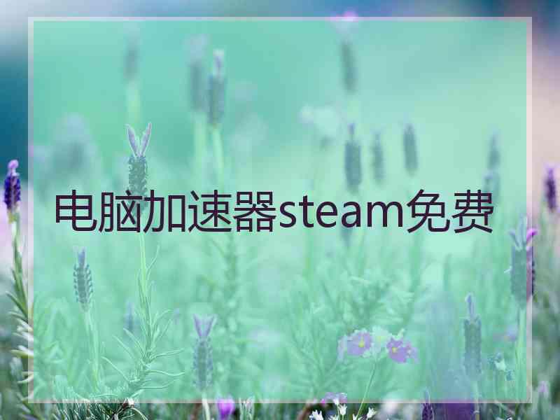 电脑加速器steam免费