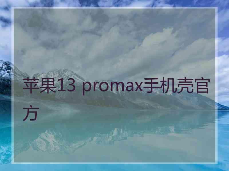 苹果13 promax手机壳官方